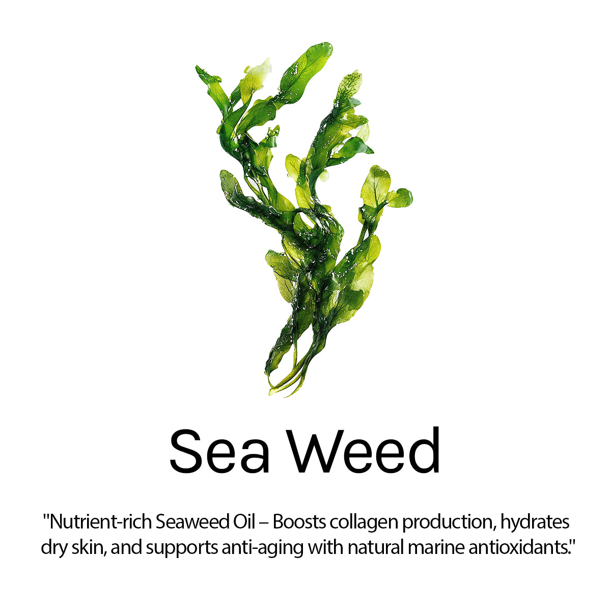 Hair Serum for Frizz Control, Smooth & Shiny Hair