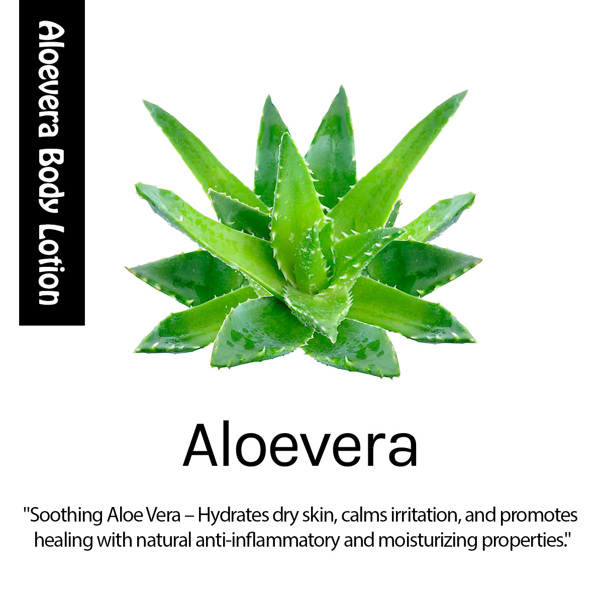 Bio White Facewash + Body Lotion Moisturiser