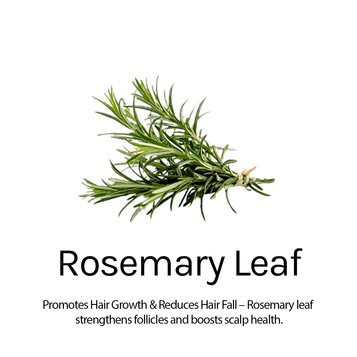 Anti-Dandruff Hair Spa Fights Flakes & Itchy