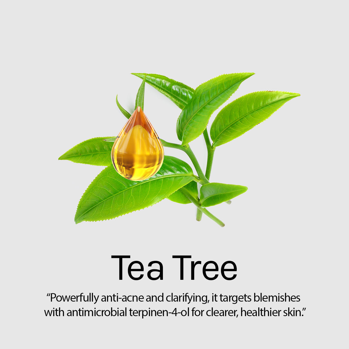 Sun Shield SPF 50 PA+++ Sunscreen With Tea