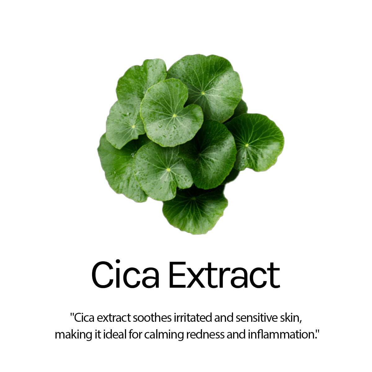 Sun Shield SPF 50 PA+++ With Cica Extract, Hyaluronic Acid & Vitamin E