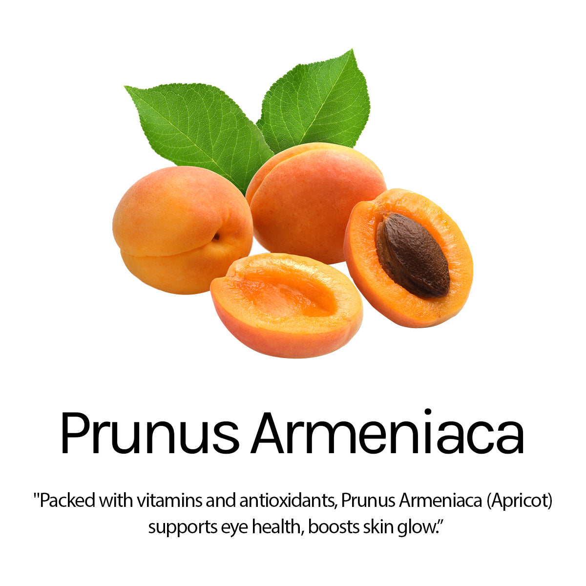 APRICOT FACE SCRUB