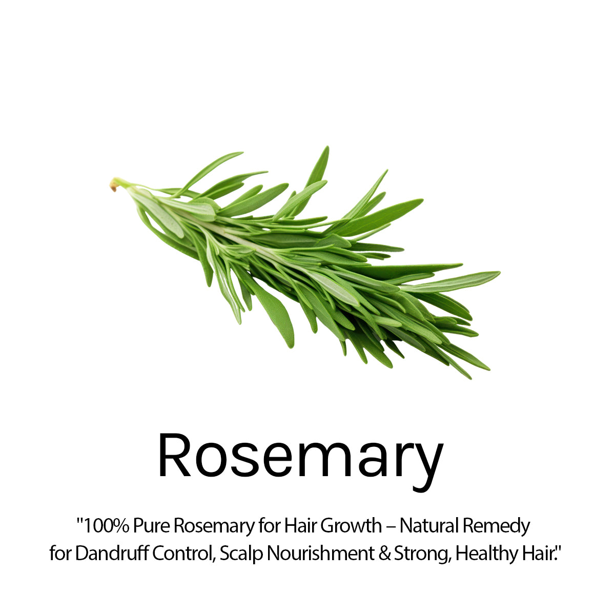 Rosemary & Henna Shampoo for Hair Fall