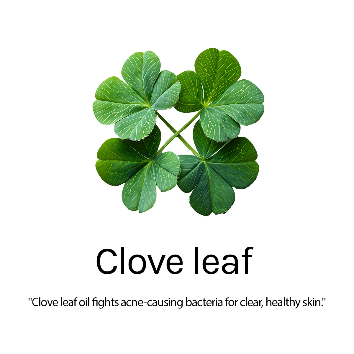 Good Bye Pimple Cream (Pack of 2)