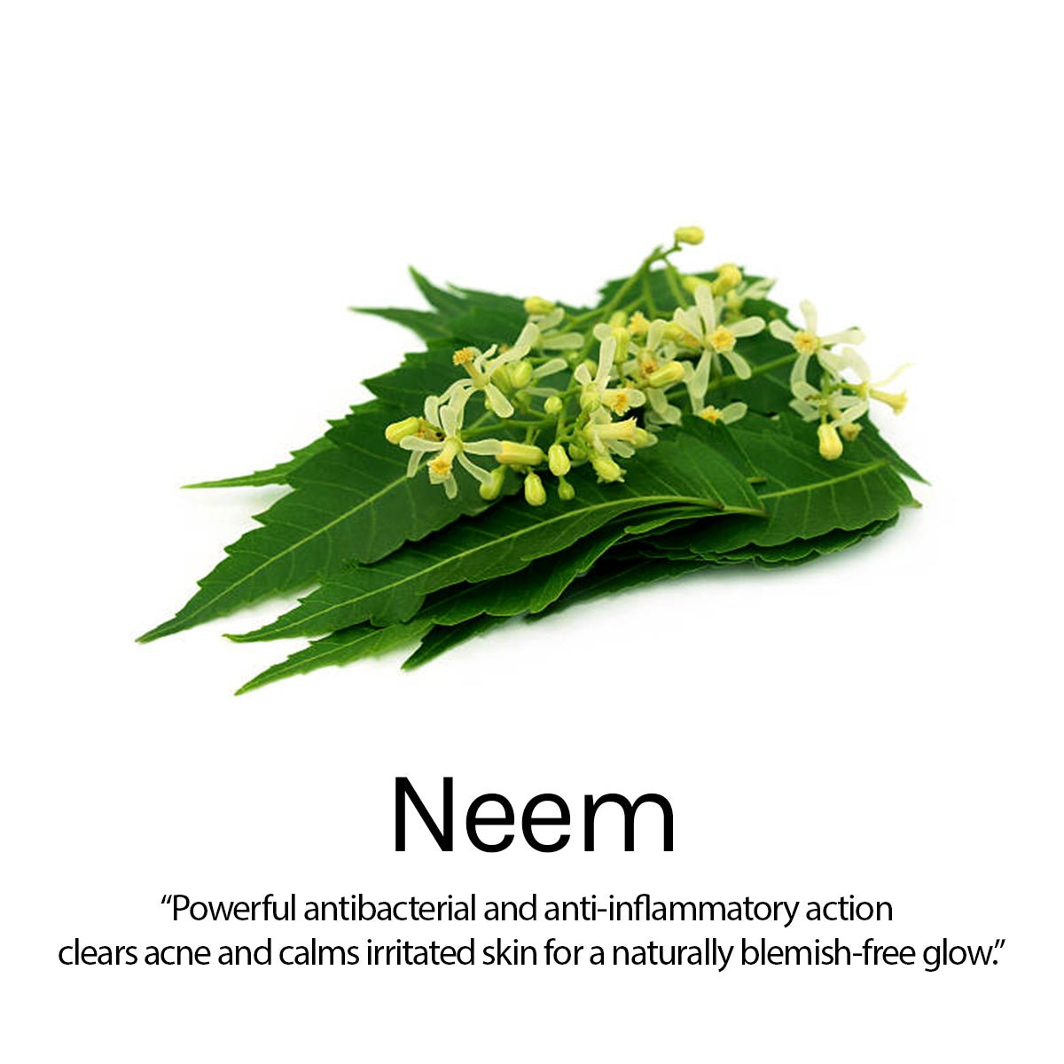 Neem & Tea Tree Oil Control Jelly Peel-Off