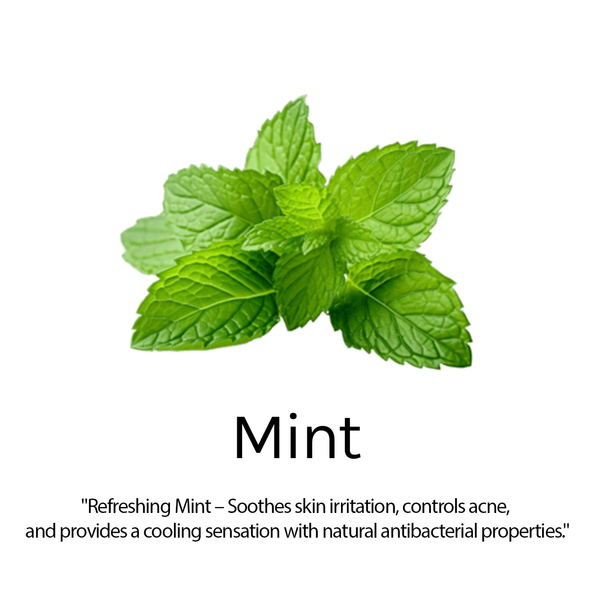 Anti Dandruff Shampoo , with Cooling Menthol