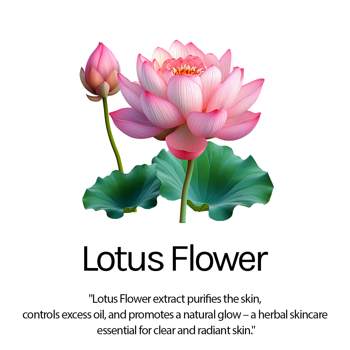 Sun Shield Ultra Fine Sunscreen SPF 60 PA++++