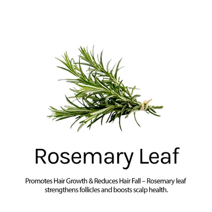 Anti-Dandruff Hair Spa Fights Flakes & Itchy