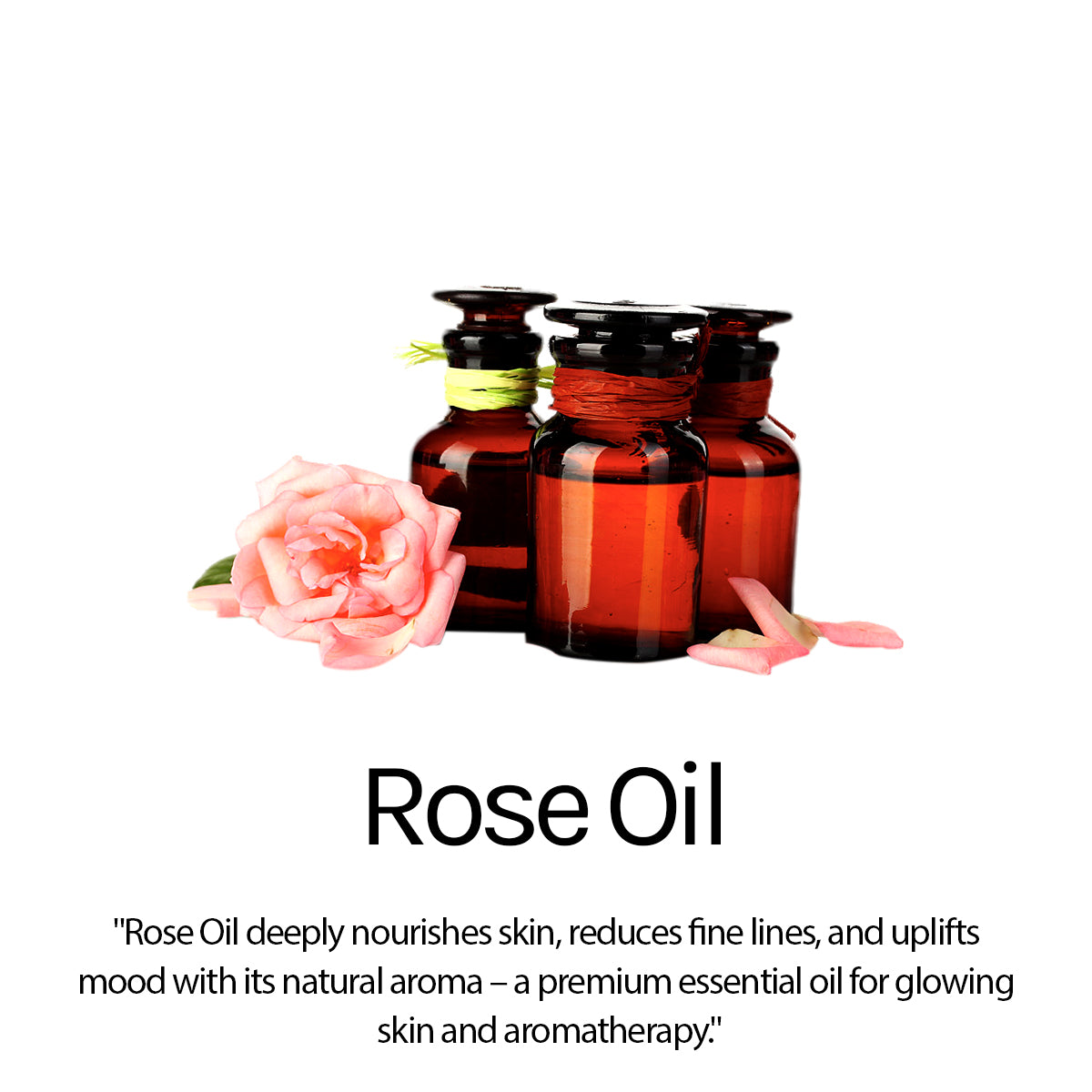 Rose Extract Body Lotion - Deep Moisturizing & Radiant Glow