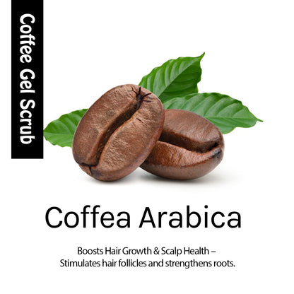 Coffee Party Kit – Face Scrub & Face Wash for Glowing & Refreshed Skin