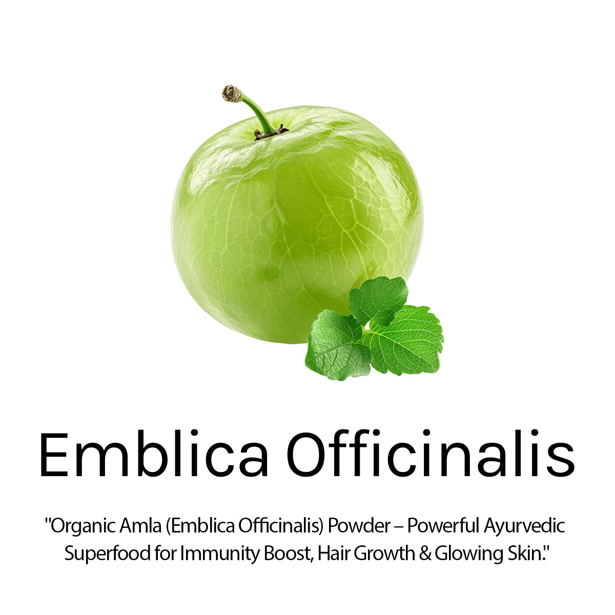 Amla & Shikakai Shampoo , for Hair