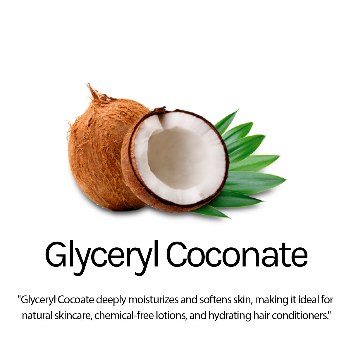 Absolute Hair Fall Defence Shampoo