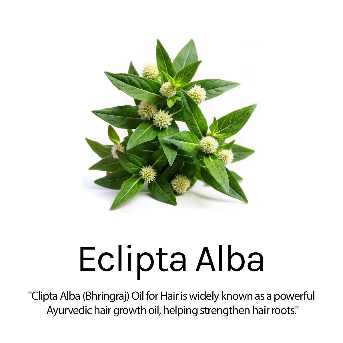 Absolute Hair Fall Defence Protein Hair Oil