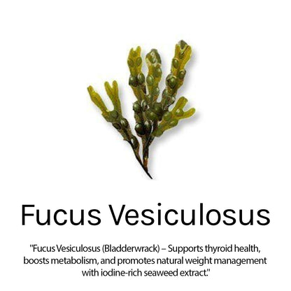 Hair Serum for Frizz Control, Smooth & Shiny Hair