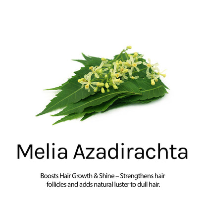 Anti-Dandruff Hair Spa Fights Flakes & Itchy