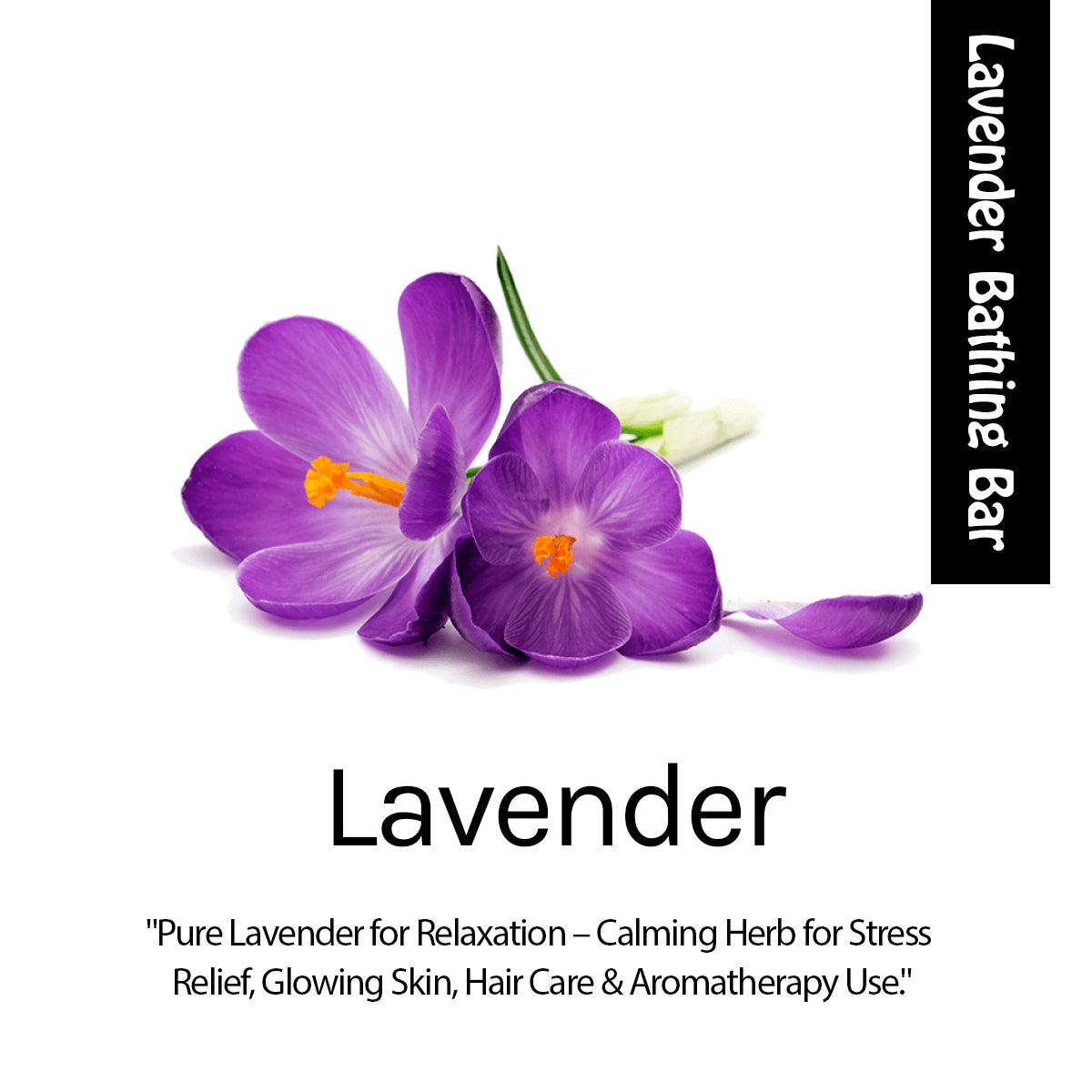 Lavender+Almond Bathing Bar Combo