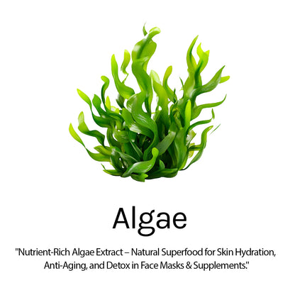 Anti-Ageing Caffeine & Algae Jelly Peel-Off Mask