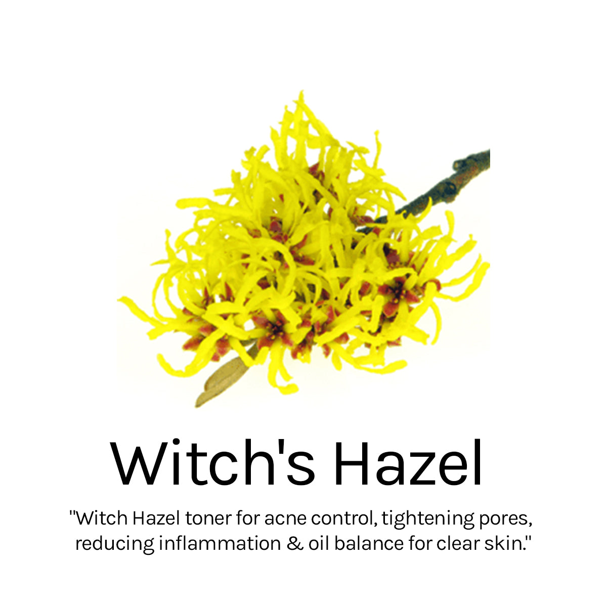 Vitamin C Toner 100ml