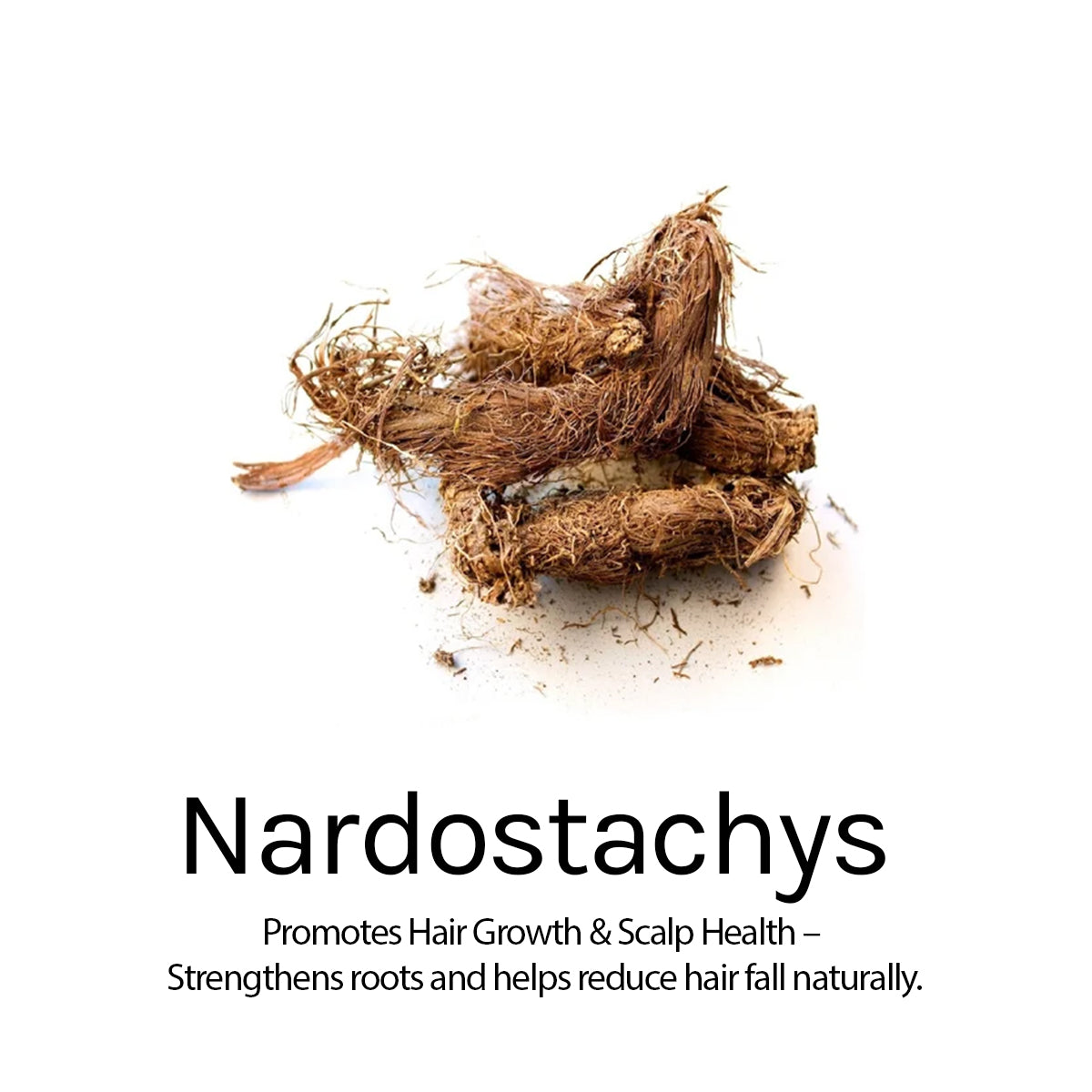 HAIR RE-GROWTH OIL 100ml