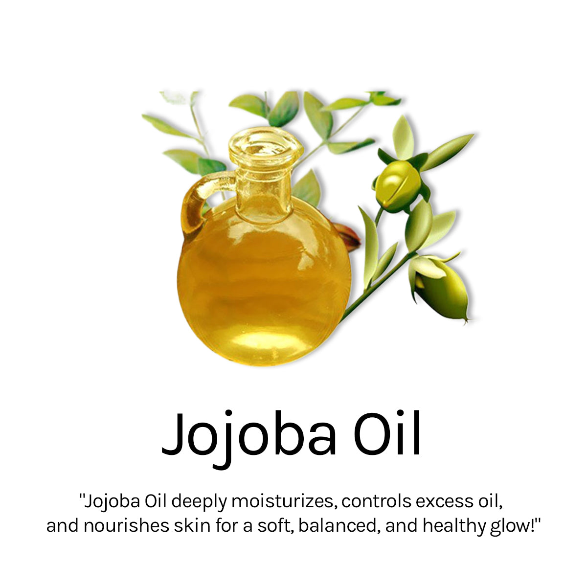 Anti-Aging Night Cream 50gm