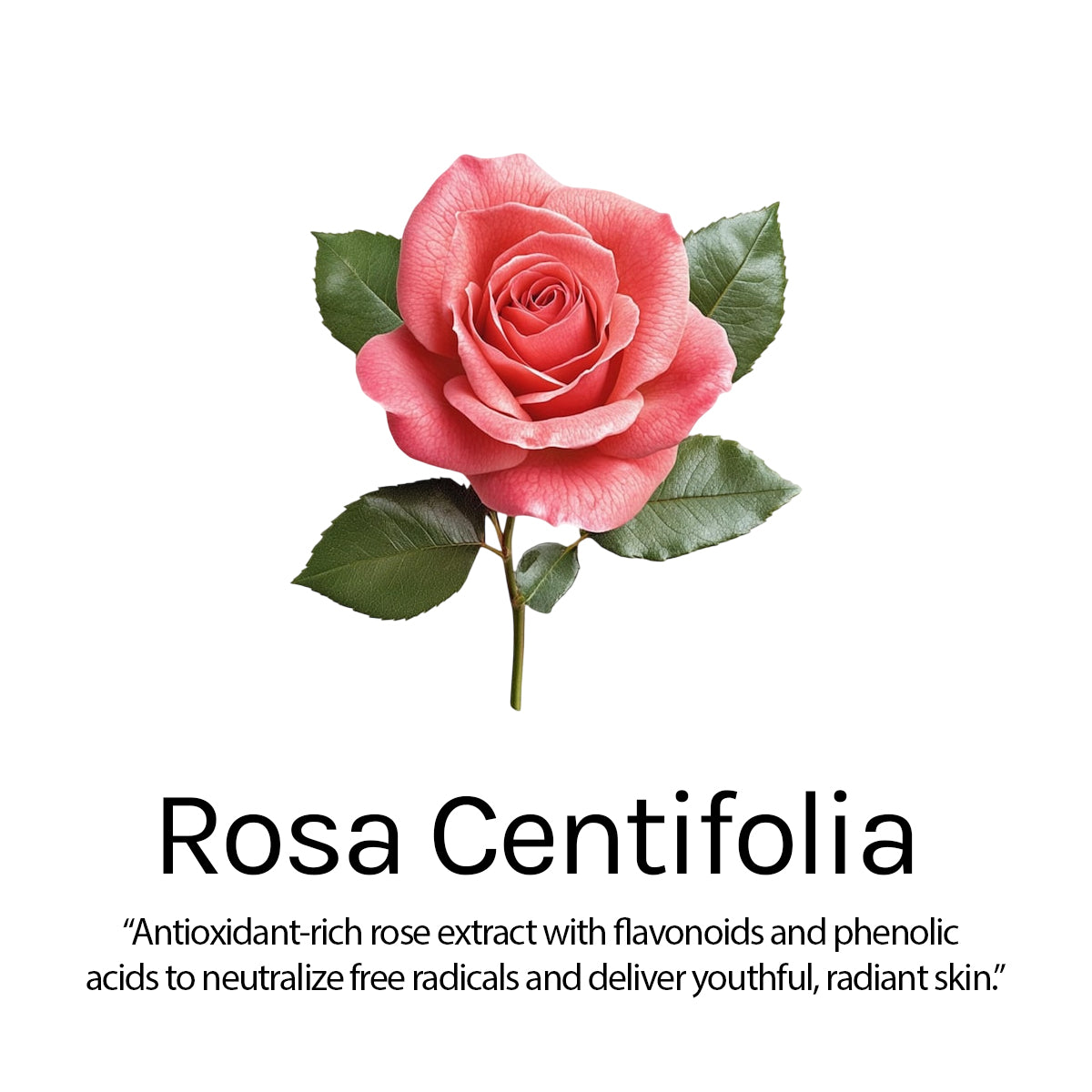 Whitening Face Toner 100ml