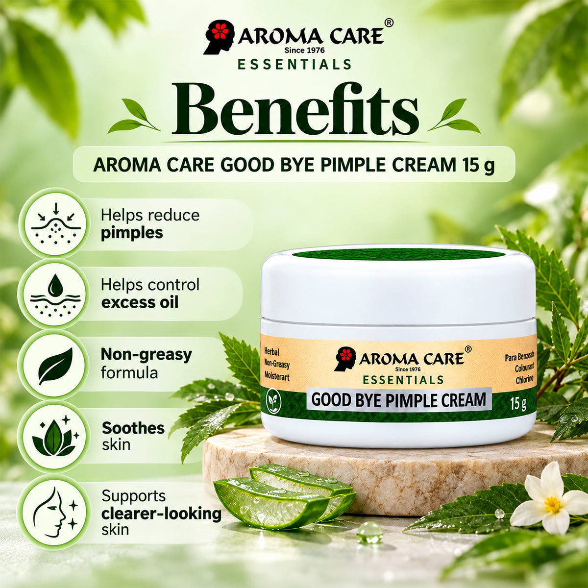 What makes it great