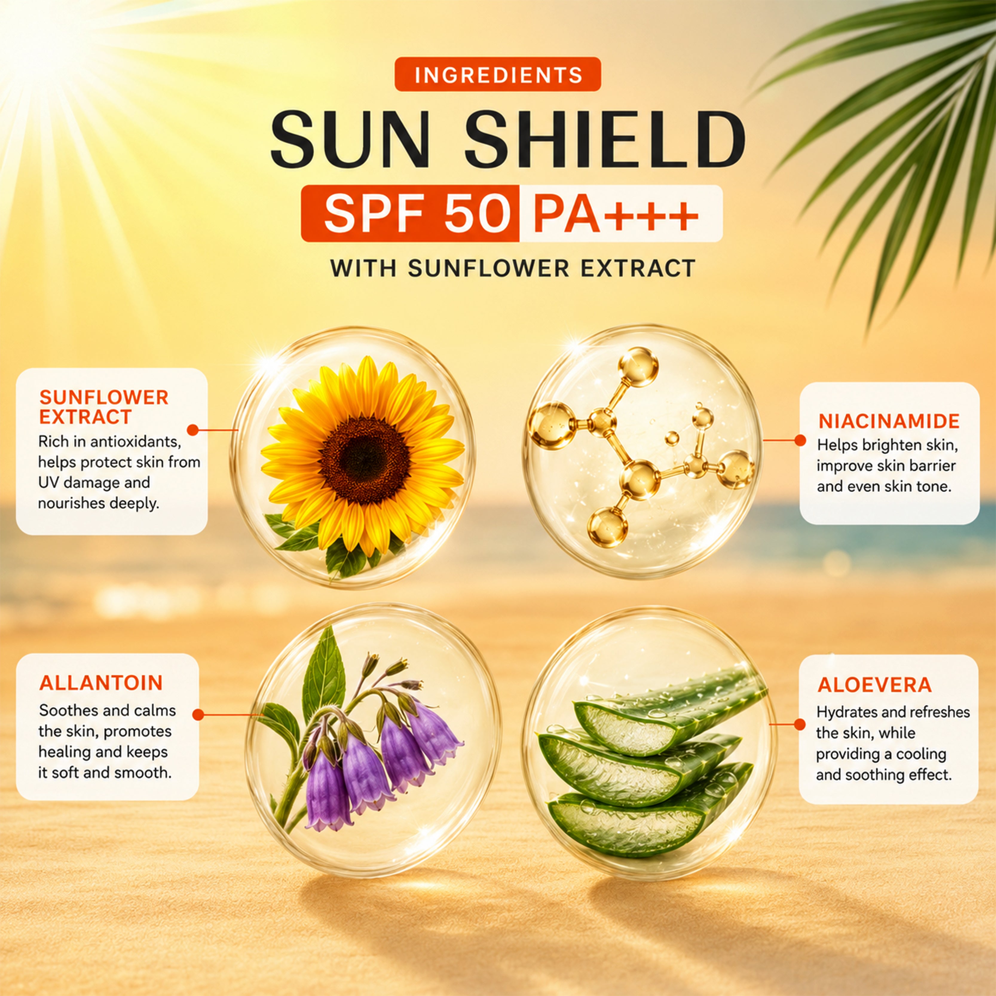 Sun Shield SPF 50 PA+++ With Sunflower Extract, Niacinamide & Allantoine